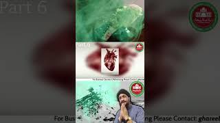 Jadu k Kamzoriyan part 6 #shahzadalighazi #magic #jadu #magic #desi #tips #totalgaming #health #top