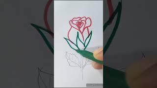 Draw a Beautiful Rose  Step by Step | Easy Flower Drawing Tutorial! #drawing #shorts