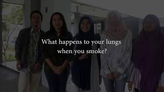 What Happens to Your Lungs When You Smoke