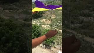 kite flying  #kiteflying #kitelover #indiankite #viralvideo @kitelover45