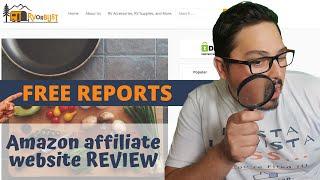 Amazon Affiliate Website Reviews #2 | FREE & Honest Feedback | Hasta La Vista Boss