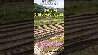 큰길1906. "대폭인하" 이제 사셔도 됩니다. 예쁜 정원 과 토목된 주말농장 전원주택지 456평 1억6,500만(평당36만원)#shorts#밀양싼토지#밀양주말농장토지