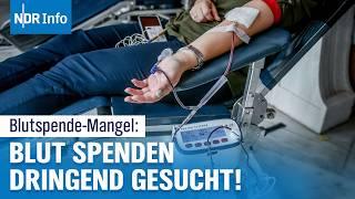 Blutspende-Mangel im Norden: DRK warnt vor Engpässen | NDR Info