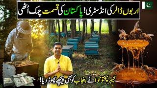 How to Earn Money from Beekeeping? | Honey Bee Farming In Pakistan | Kissan Ka Pakistan