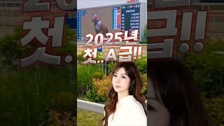 설레지 않을 수 없는 두글자 A급 / 클파 2025 첫A급 경마 승부의 결과는???