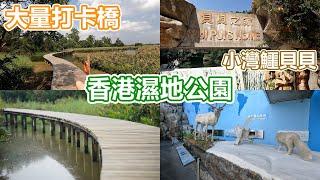 濕地公園 | 大量打卡橋 | 天水圍 | 貝貝之家 | 小灣鱷貝貝 | 蝴蝶園 | 觀鳥屋 | 彈塗魚 | 招潮蟹 | 蘆薈草