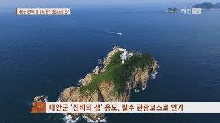 태안TV - 태안군 `신비의 섬' 옹도, 필수 관광코스로 인기