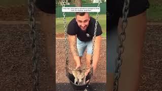 This man rescued a newborn kangaroo that lost its mother and then #animalshorts #shortvideo