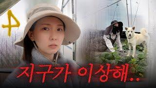 농장에 갇혔어요...(우박+강풍+고립)