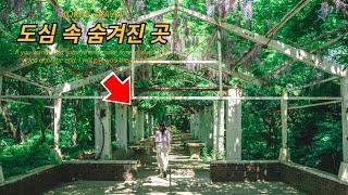 A Secret Garden Hidden in the City of Korea: A Trip Near Seoul