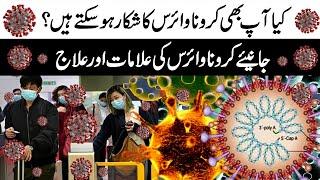 Detailed Report on Coronavirus | Newzium
