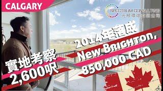 New Brighton 實地考察 #卡加利 #加拿大 #calgary #卡加利移民 #多倫多 #溫哥華