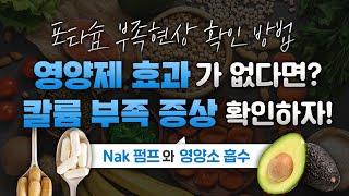 영양제를 아무리 먹어도 효과가 없다면? 칼륨 저하 증상 부터 확인하자!