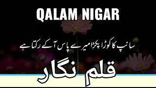 Sheikh Saadi Ka Waqia #Shorts