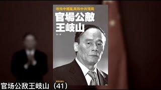 王岐山执掌中纪委，反腐剑出鞘；当中纪委书记不知水多深？；先让马馼走人；收拾王伟《官场公敌王岐山》41｜张天舒读书