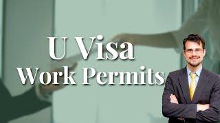 U Visa Work Permits