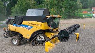 Уборка рапса 2023 г, в Германии! Комбайн New Holland CR 9080