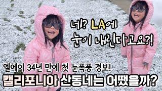  캘리포니아 덮친 눈폭풍! 눈 내리는 산동네 사는 3살 아이 일주일 브이로그 | First Blizzard Warning in LA since 1989!