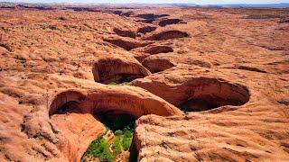 Discovering a Hidden Oasis in a Remote Desert Canyon