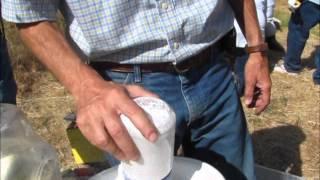 Sugar Shake to Check for Varroa Mites in Honey Bees