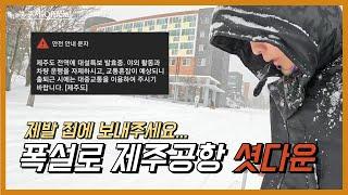 제주공항 셧다운이요? | ️제주도 폭설 속에서 살아남기 | 제주대 브이로그