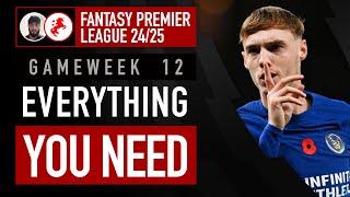 HAALAND, SALAH, PALMER (C)?| FPL GAMEWEEK 12 EVERYTHING YOU NEED| Fantasy Premier League Tips 24/25