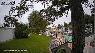 Bayfield Marina Live Stream