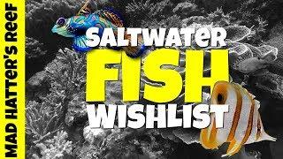 Top 10 Saltwater Fish Wishlist for my Reef Tank