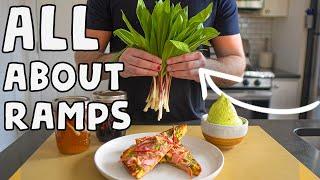 Ramps EXPLAINED! (Wild Onions)