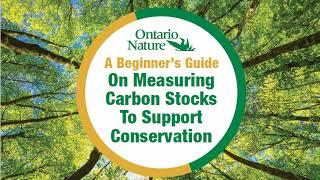 Assessing Carbon Storage for Conservation: Ontario Nature's New Guide