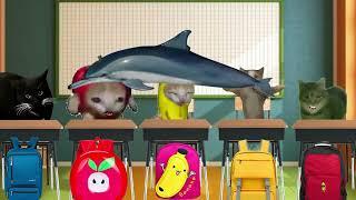 Banana Cat Class: Animal Names Starting With The Letter "D" BUT ...