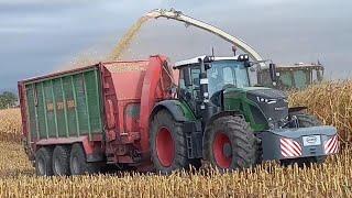 BGA Mais häckseln Jaguar 990,4x HAWE SUW5000-3x Fendt930/Axion960,Fendt828-Bergmann Silotrailer