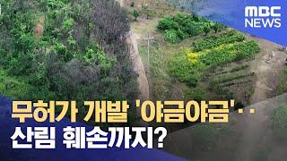 개발 '야금야금'‥ 산림 훼손까지? (2025.06.23/뉴스데스크/원주MBC)