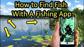 How to Use a Fishing App to Find A Good Spot (Omnia Premium Pro)