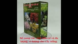 Viên Nén Dinh Dưỡng Hữu Cơ BEN-01 - Vườn Sài Gòn 0827997777