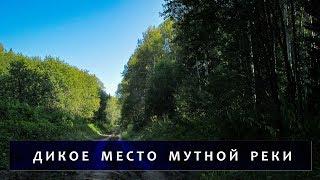 Дикое место мутной реки. Левая Убинка. Восточный Казахстан // A wild place deep in the forest