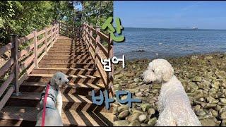 휴가 Vlog  / 산이랑바다 / 서산 / 황금산 / 몽돌해변 / 코끼리바위 / 회뜨는 선상