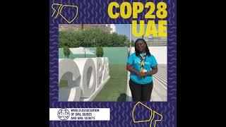 COP28 Highlights