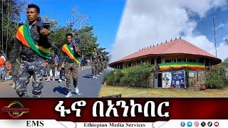 EMS Special ፋኖ በአንኮበር 16 Nov 2024