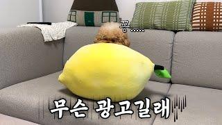 광고에 진심인 강아지……..