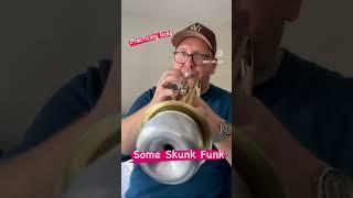 Some Skunk Funk Lick Practice