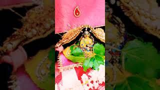Govind Jai Jai Gopal Jai Jai #vrindavandham #radhakrishna #radheradhe