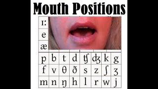 IPA Mouth Positions for the Phonetic Chart