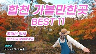 합천 가볼만한 곳 BEST 11, 가을에 가면 당신은 주인공이 됩니다