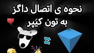 آموزش ربات داگز و نحوه ی اتصال به کیف پول تون کیپر