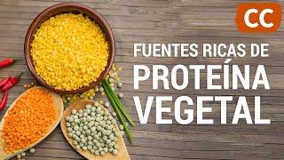 5 Fuentes de Proteína Vegetal | Ciencia de la Comida