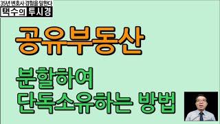 공유부동산, 분할하여 단독소유하는 방법