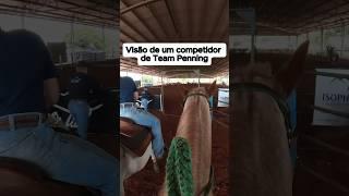 Está é a minha visão quando estou correndo Team Penning! #agro #cavalo #amocavalos #teampenning