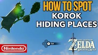 How to Spot and Find ALL Korok Hiding Places in Zelda Breath of the Wild