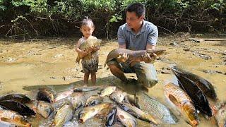 Harvesting a lot of big fish goes to the market sell/XuanTruong